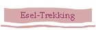 Esel-Trekking