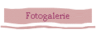 Fotogalerie