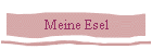 Meine Esel